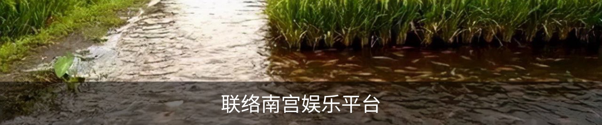 联络南宫娱乐平台