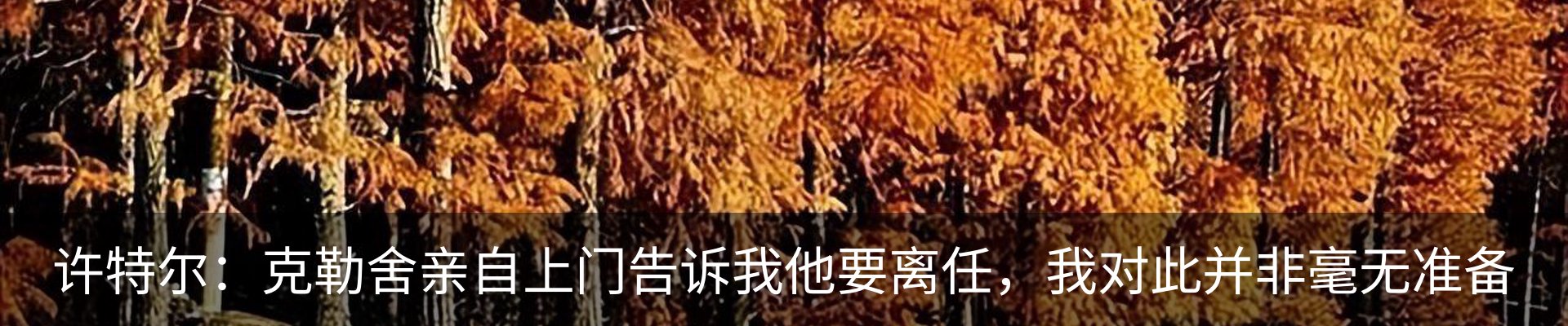 新闻动态